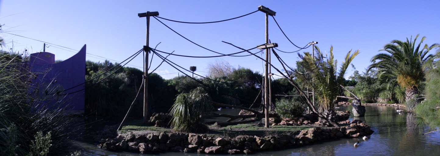 [2] 211208 logos zoo, jpg, 5 images, IMG_4573 - IMG_4577 - 1444x512 - SCUL-Smartblend.jpg - autre vue des saïrimis